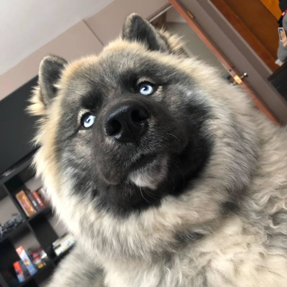 Meet your Posher, Alexandra